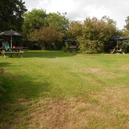 The Royal Oak Inn Dunsford Exterior photo